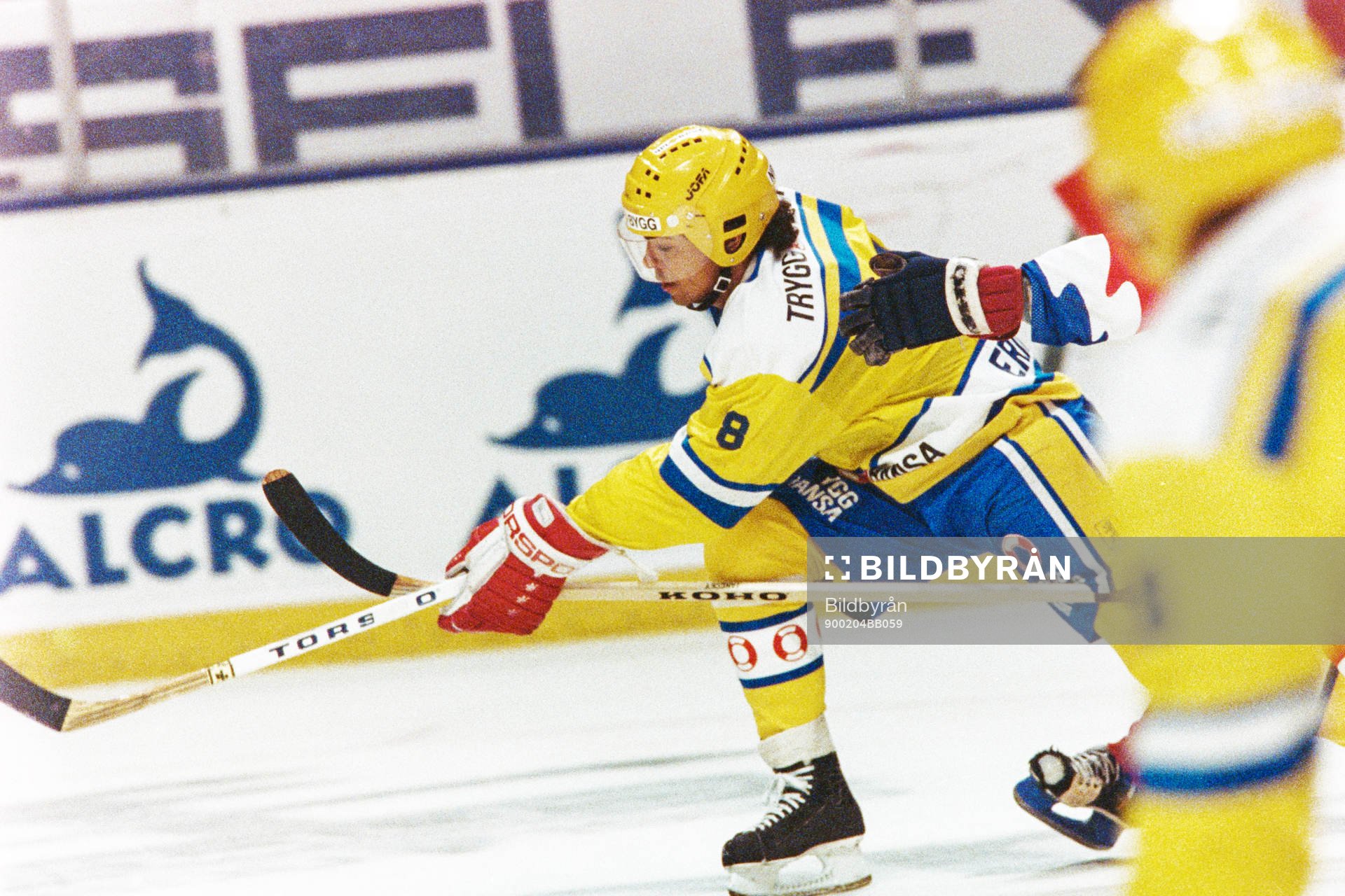 Patrik Erickson, Sverige