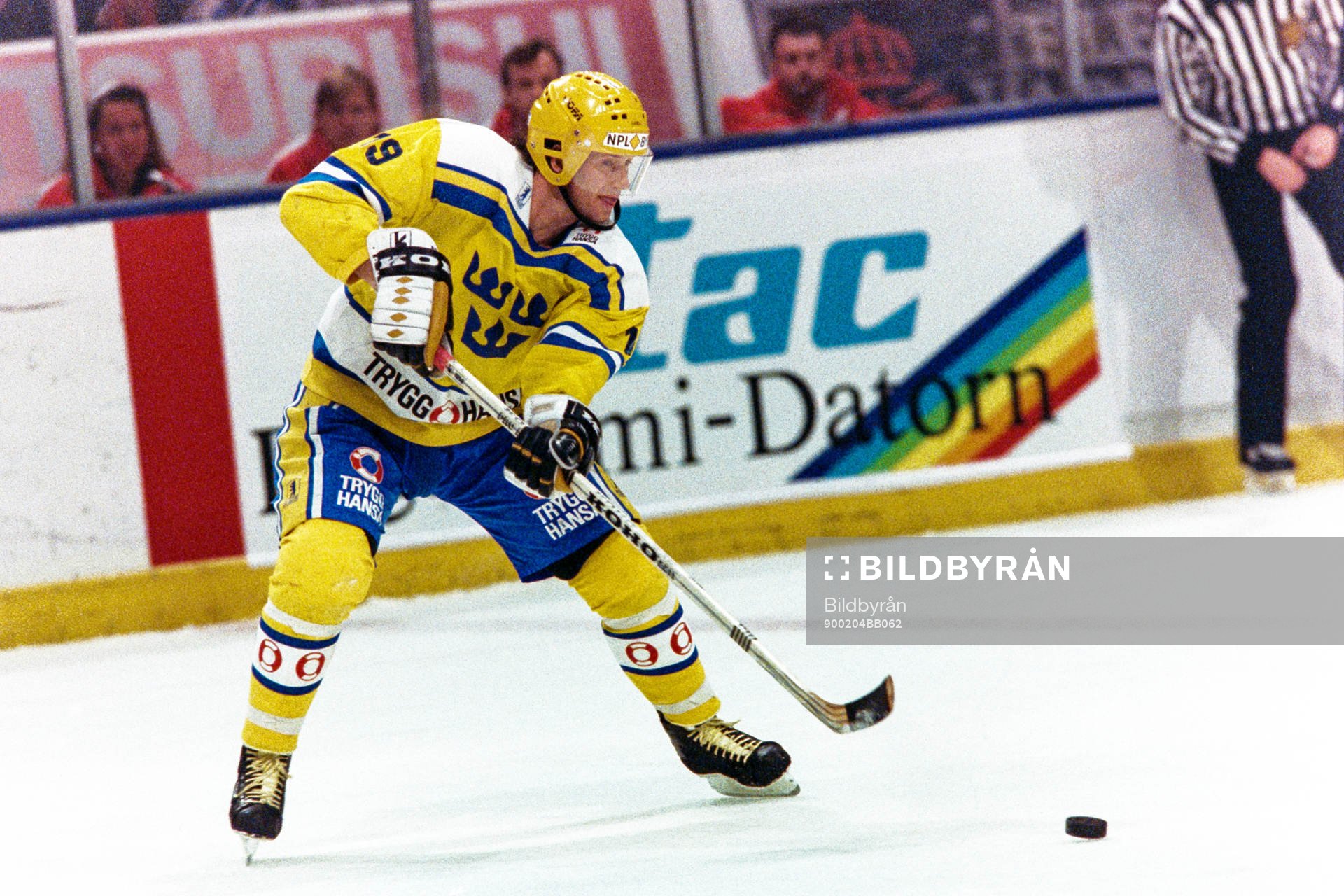 Magnus Roupé, Sverige