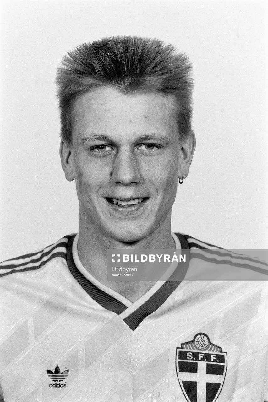 Martin Hamrin, Sverige
