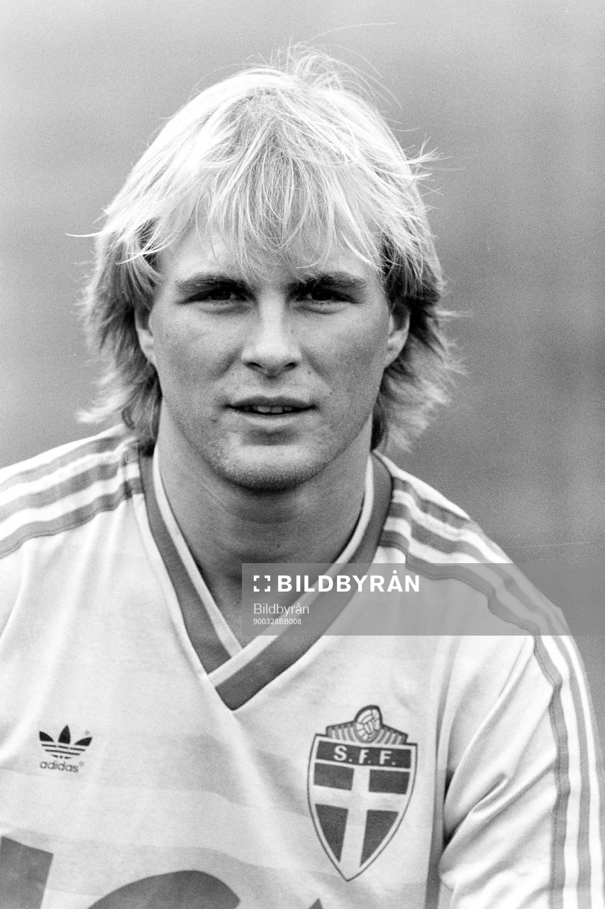 Peter Wibrån, Sverige