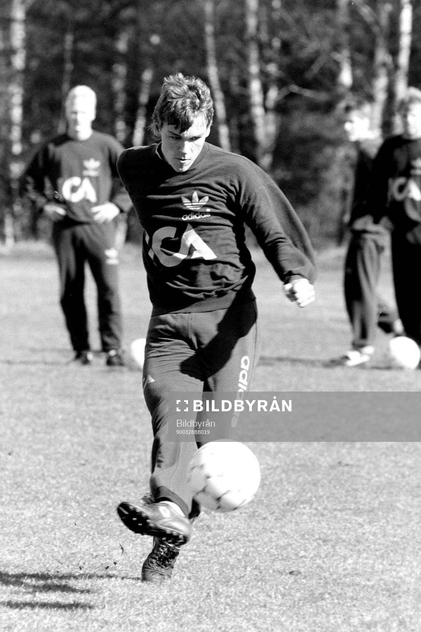 Magnus Erlingsmark, Sverige
