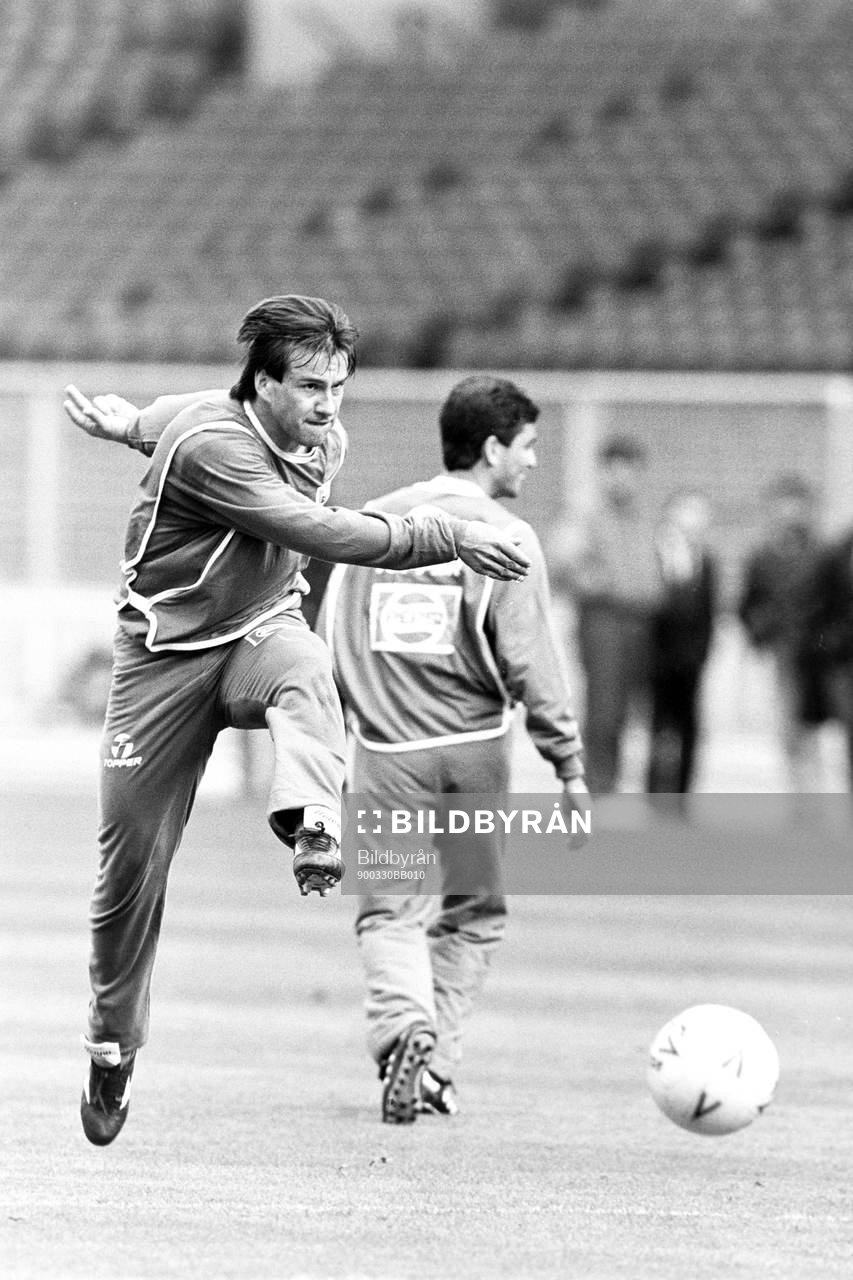 Dunga