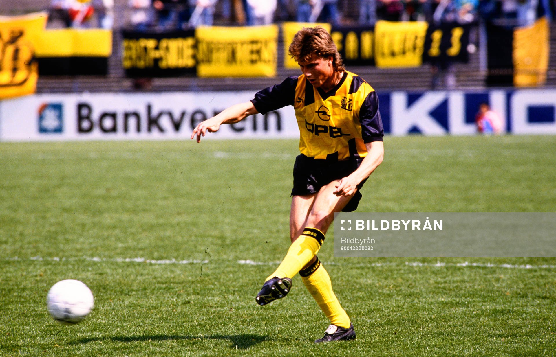 Roger Ljung, Young Boys