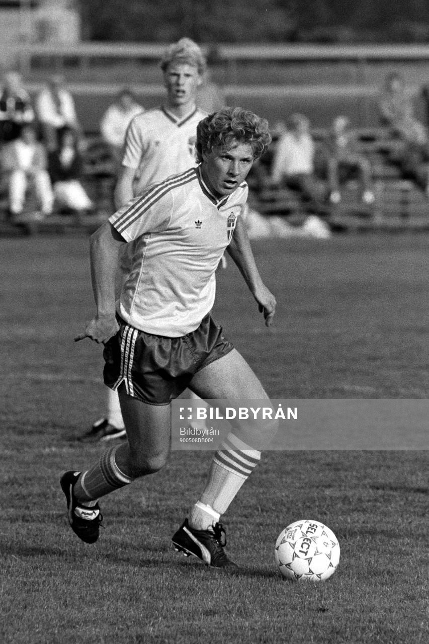 Roger Nordstrand, Sverige