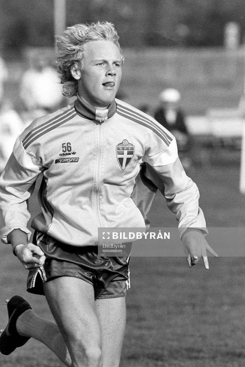Roger Nordstrand, Sverige