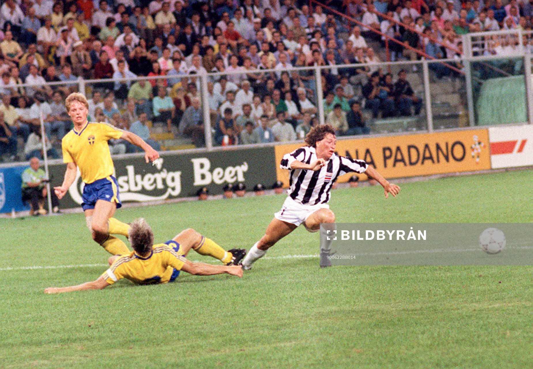 Stefan Schwarz och Glenn Hysén, Sverige