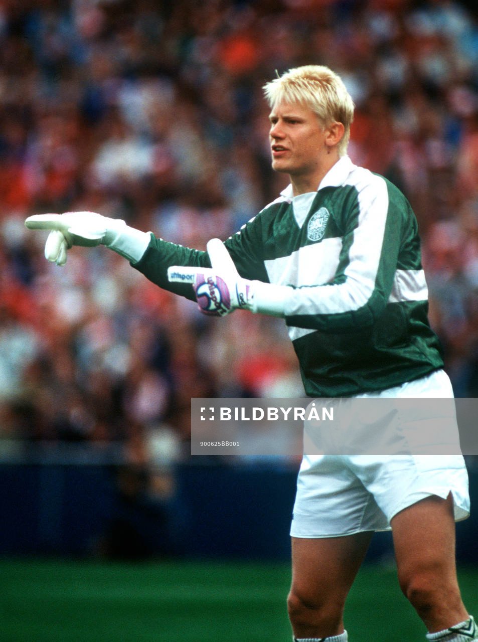 Peter Schmeichel, Danmark