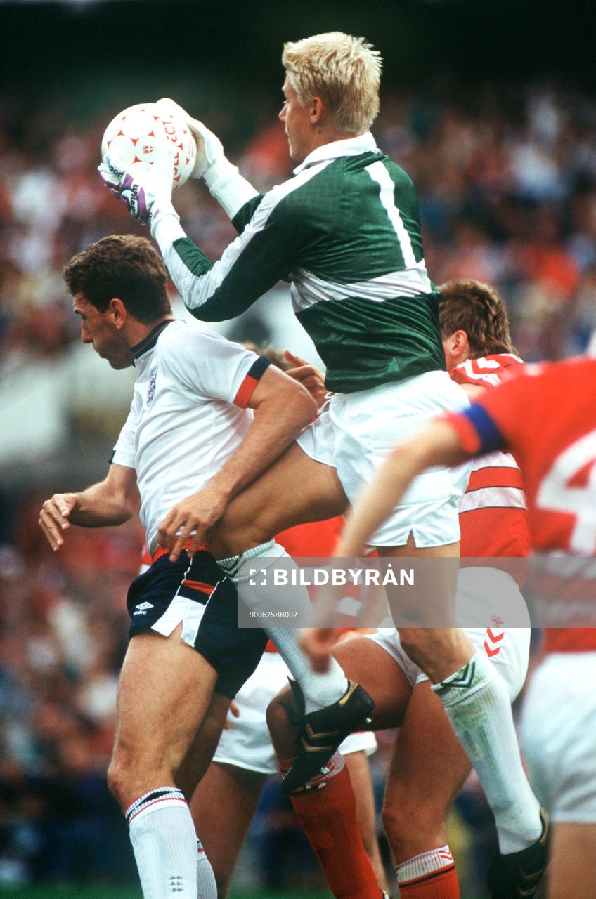 Peter Schmeichel, Danmark