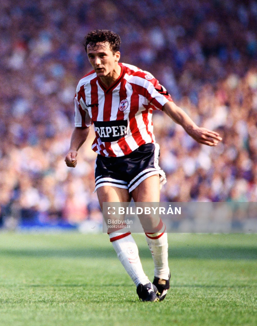 Fotboll, Engelska ligan, Aston Villa - Southampton