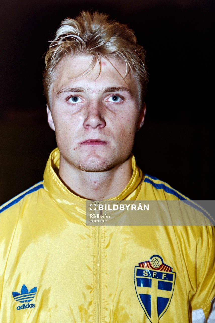 Magnus Johansson, Sverige