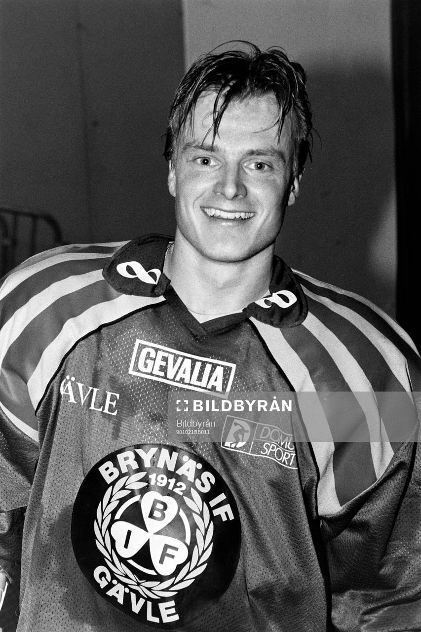 Anders Gozzi, Brynäs
