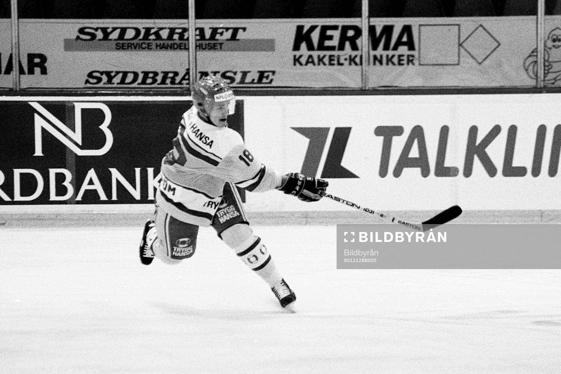 Peter Hammarström, Sverige
