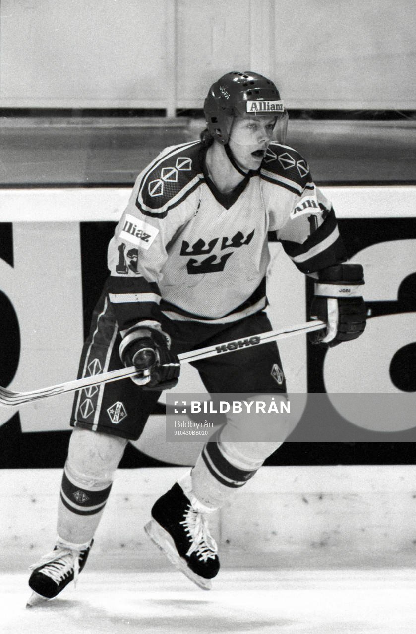 Mats Sundin, Sverige