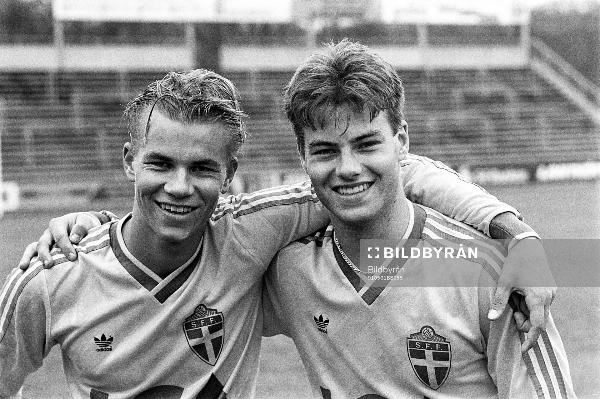Niclas Alexandersson och Niklas Gudmundsson, Sverige