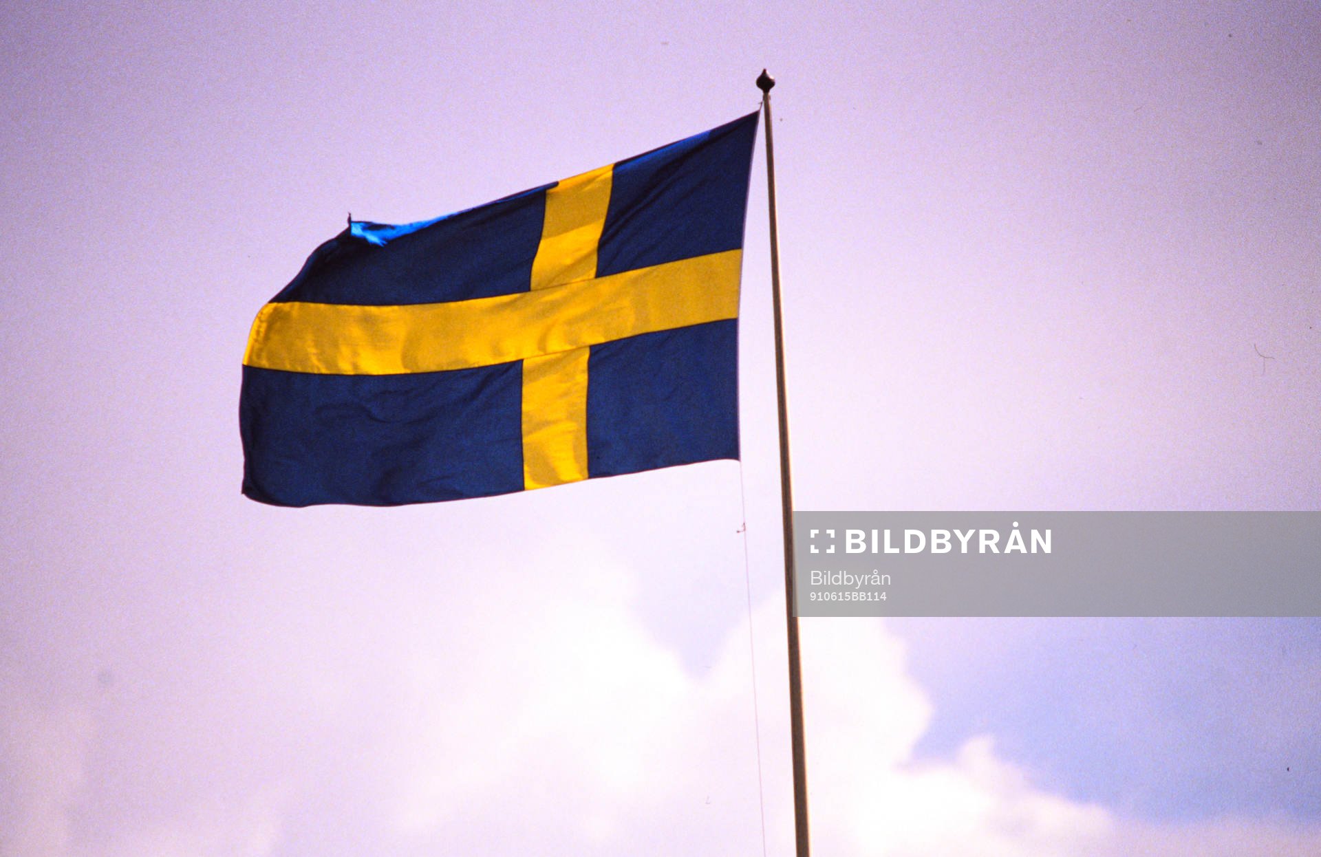 Den svenska flaggan
