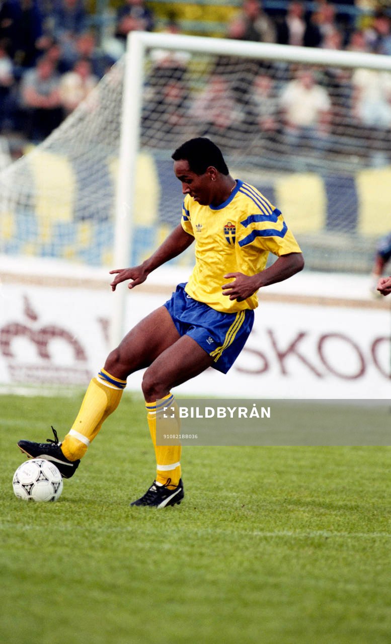 Martin Dahlin, Sverige
