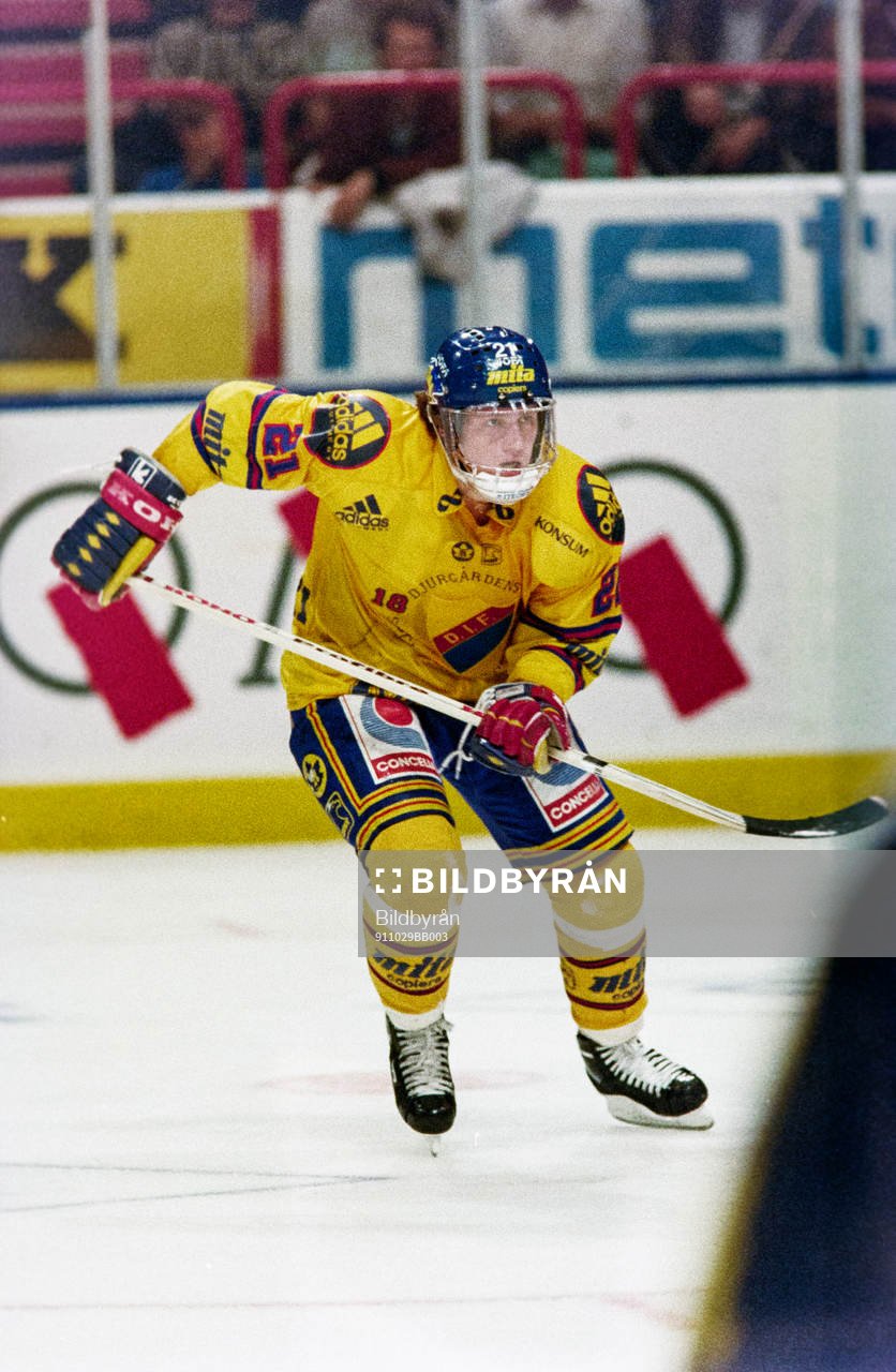 Mariusz Czerkawski, Djurgården
