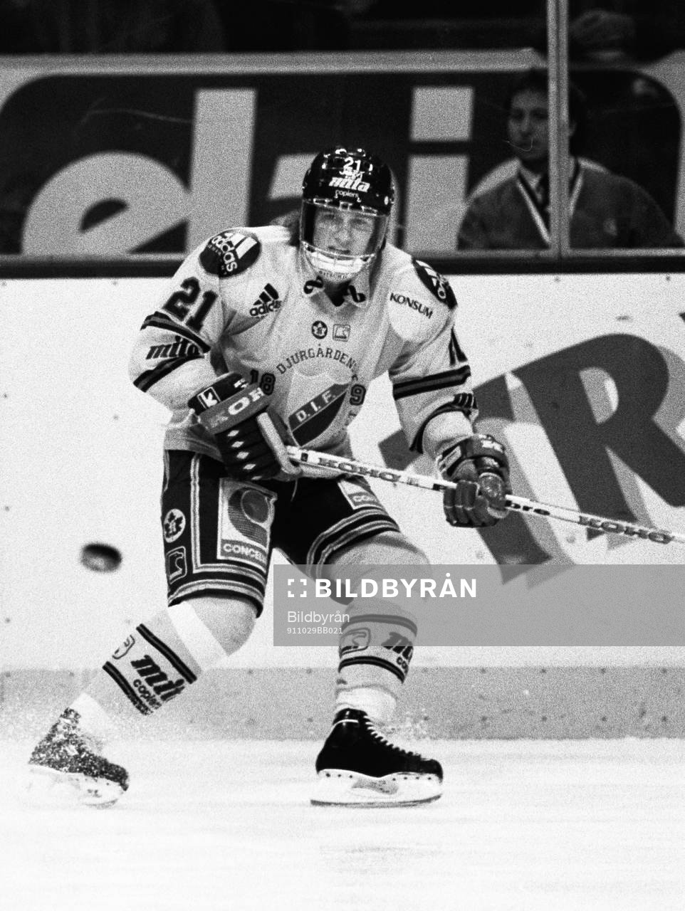 Mariusz Czerkawski, Djurgården
