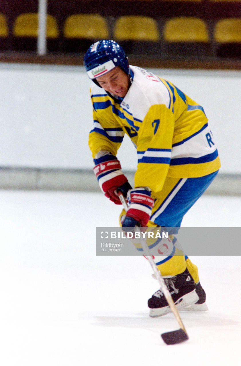 Daniel Rydmark, Sverige