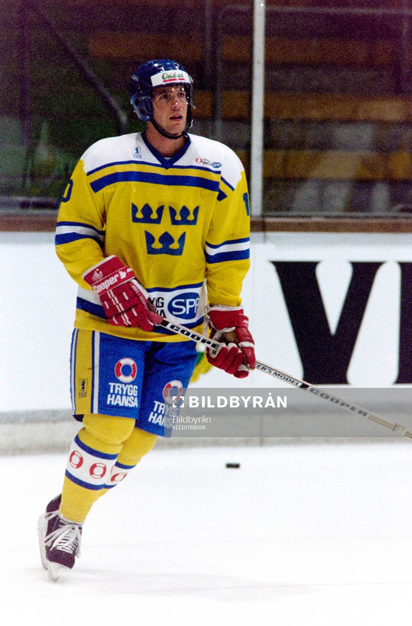 Roger Hansson, Sverige
