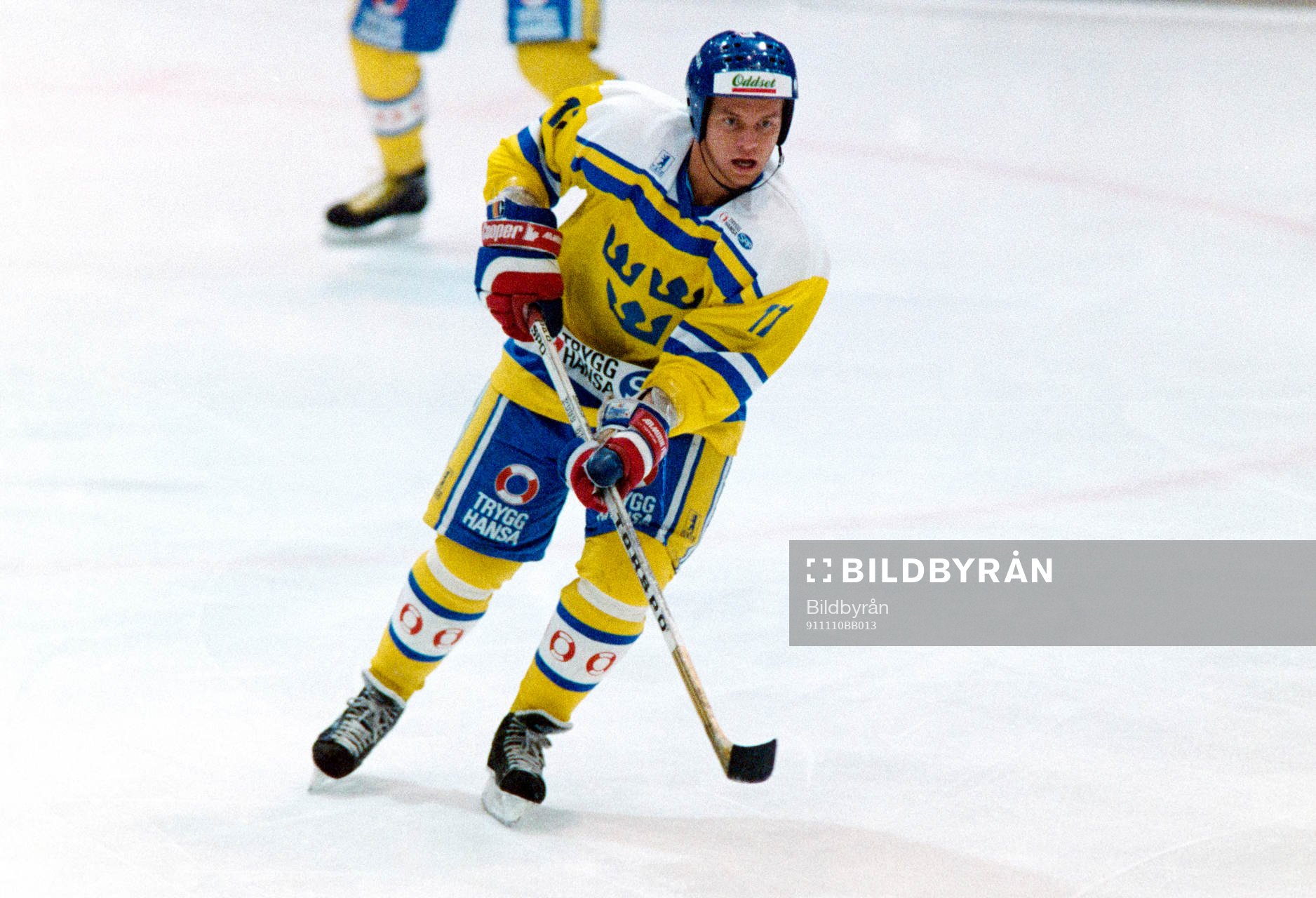 Daniel Rydmark, Sverige