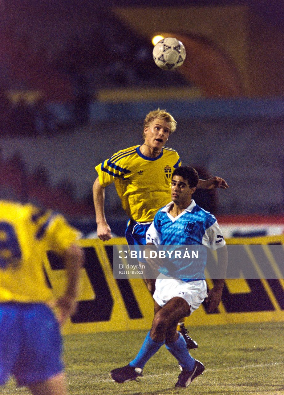 Johan Mjällby, Sverige