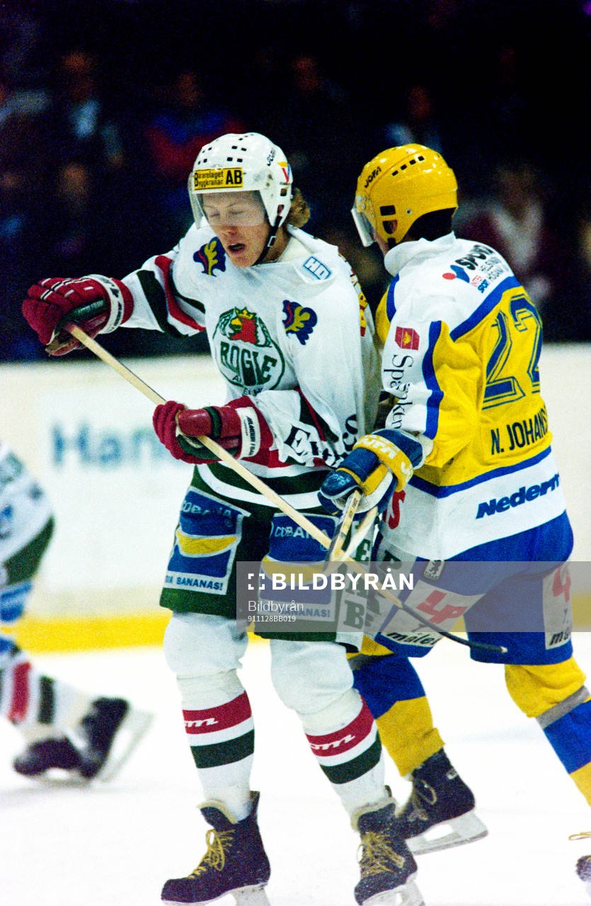 Torgny Löwgren, Rögle och Niklas Johansson, Helsingborg