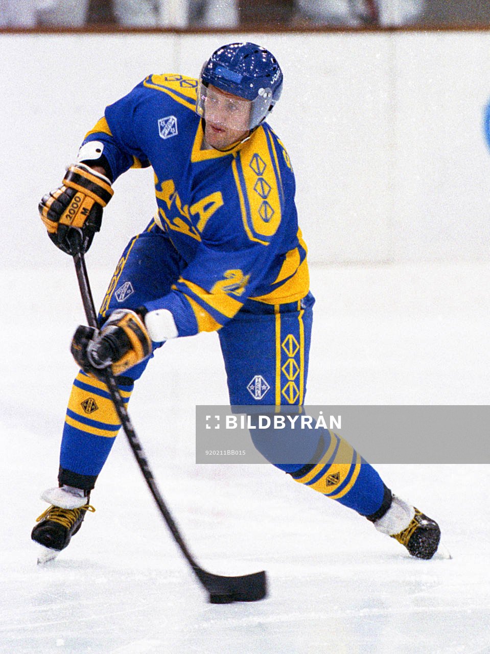 Börje Salming, Sverige