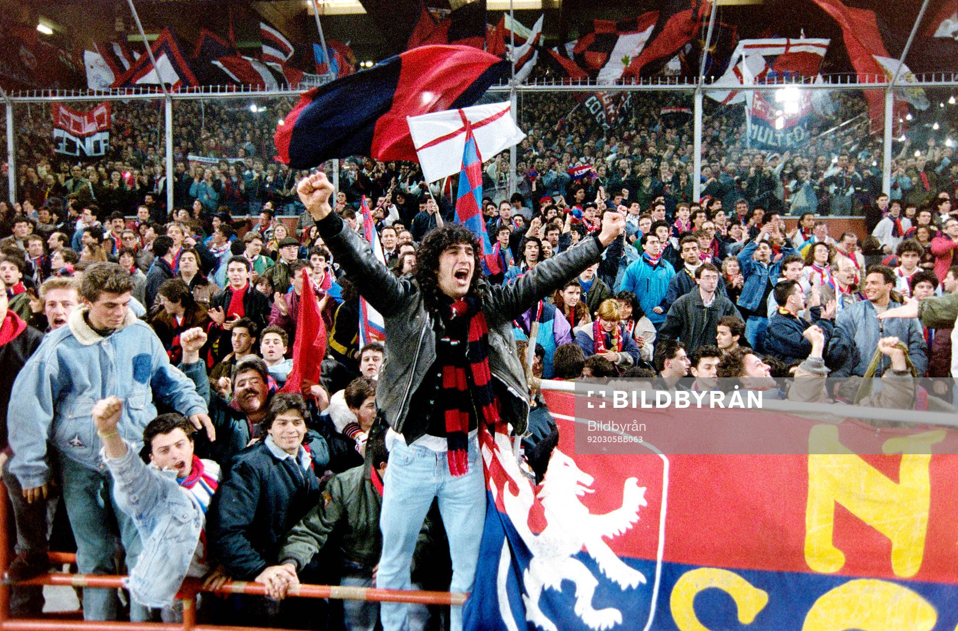 Publik, fans