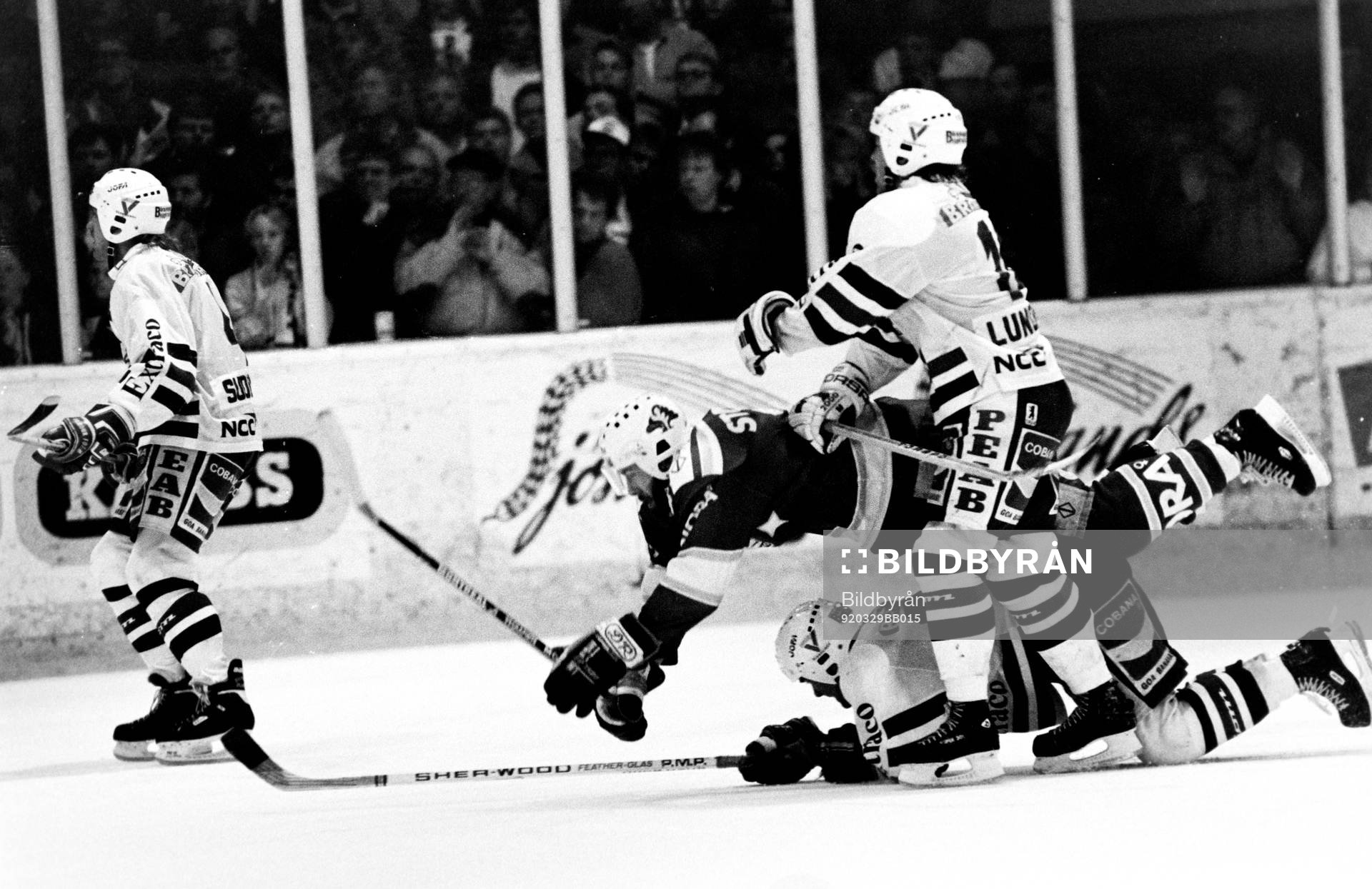 Ishockey, Allsvenskan, Rögle - Leksand, 5-2