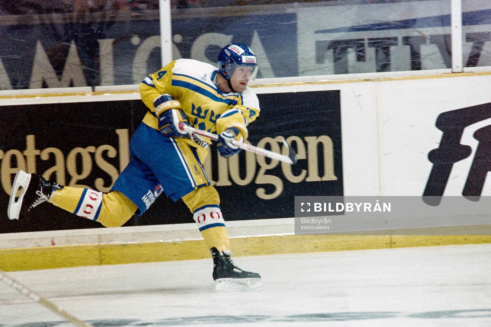 Roger Hansson, Sverige