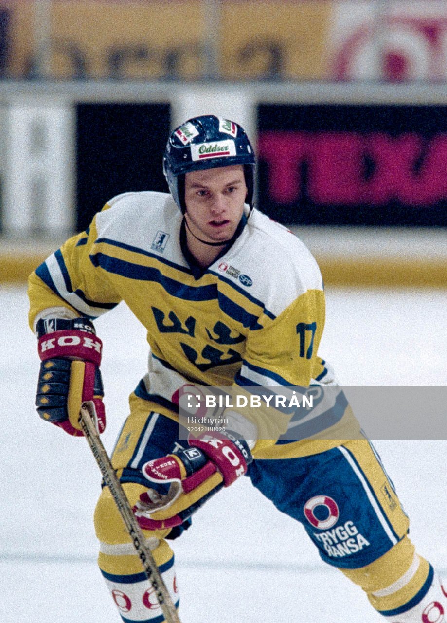 Daniel Rydmark, Sverige