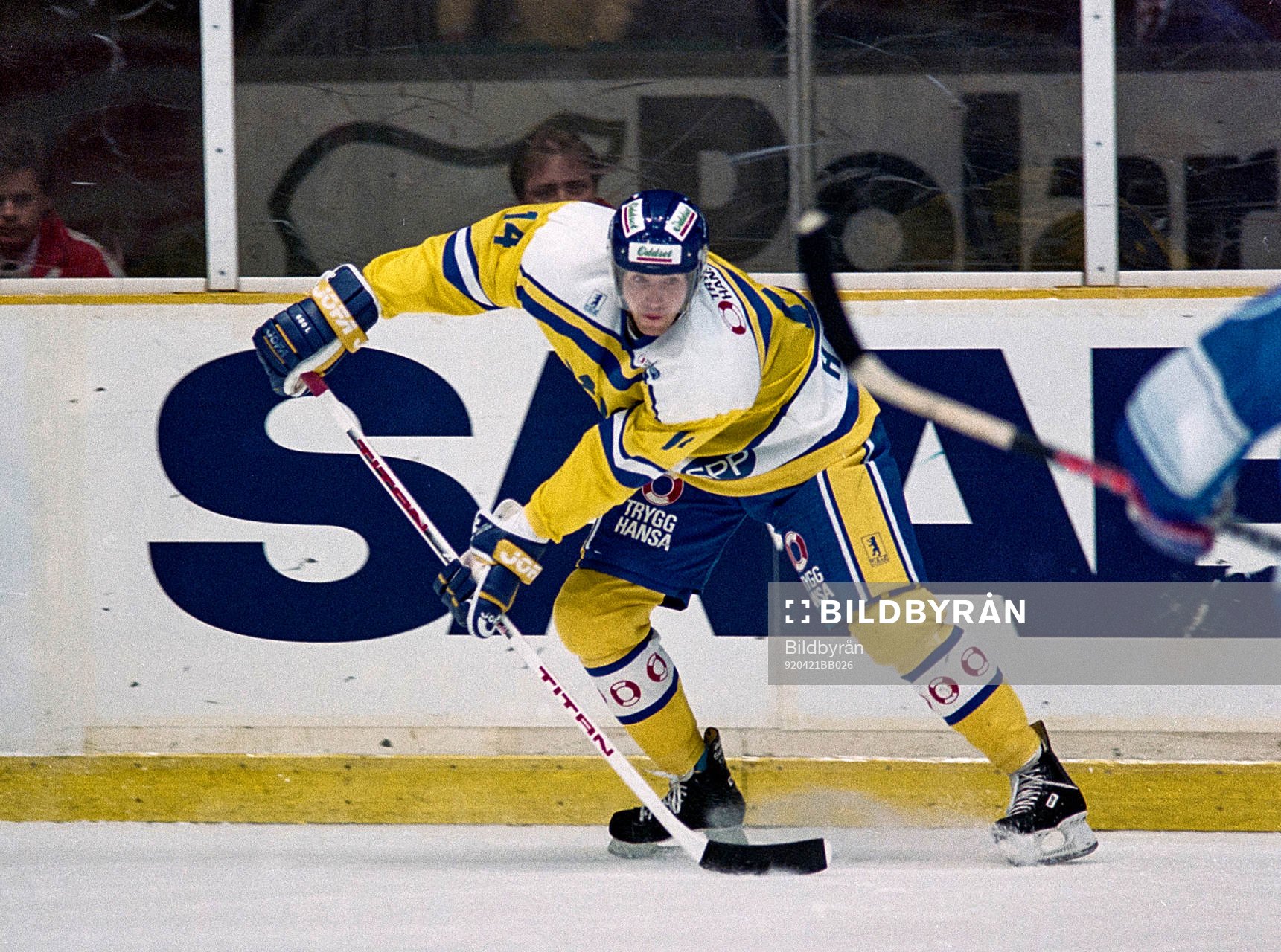 Roger Hansson, Sverige