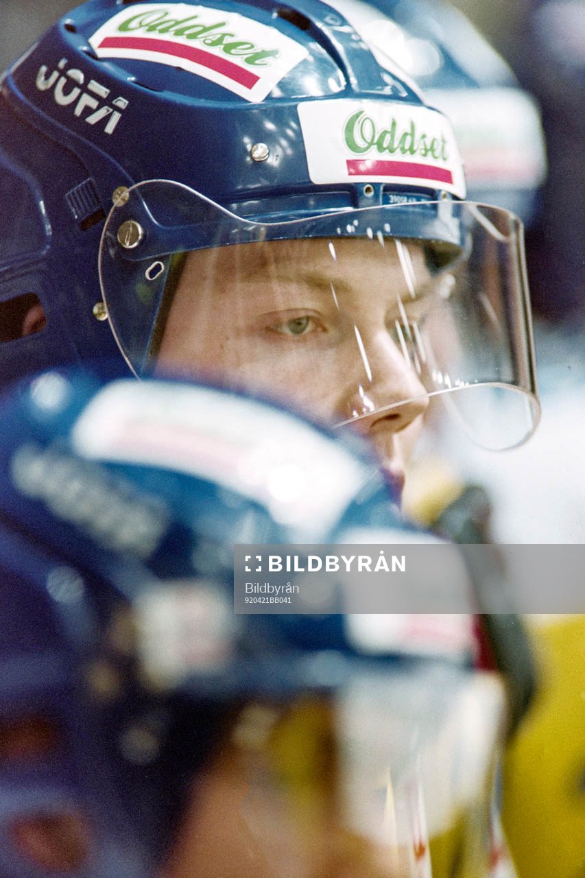 Mats Sundin, Sverige