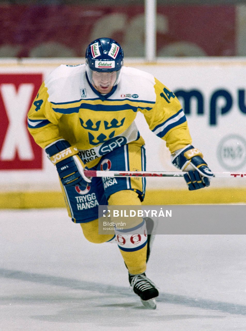 Roger Hansson, Sverige