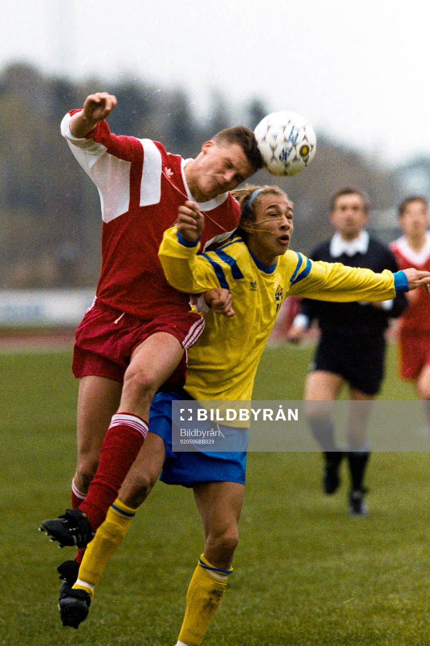 Henrik Larsson, Sverige