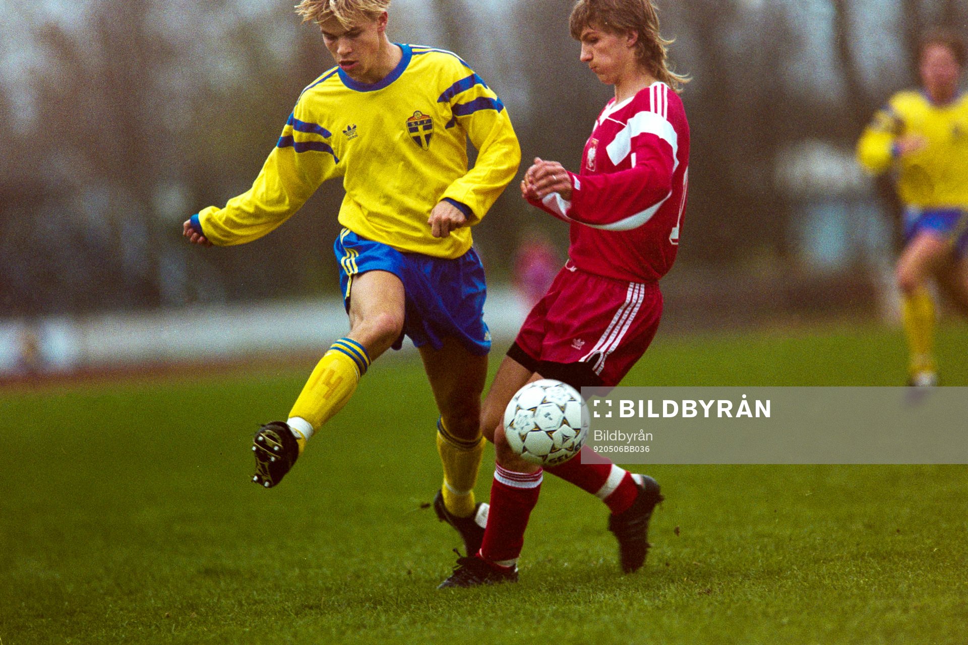 Niclas Alexandersson, Sverige