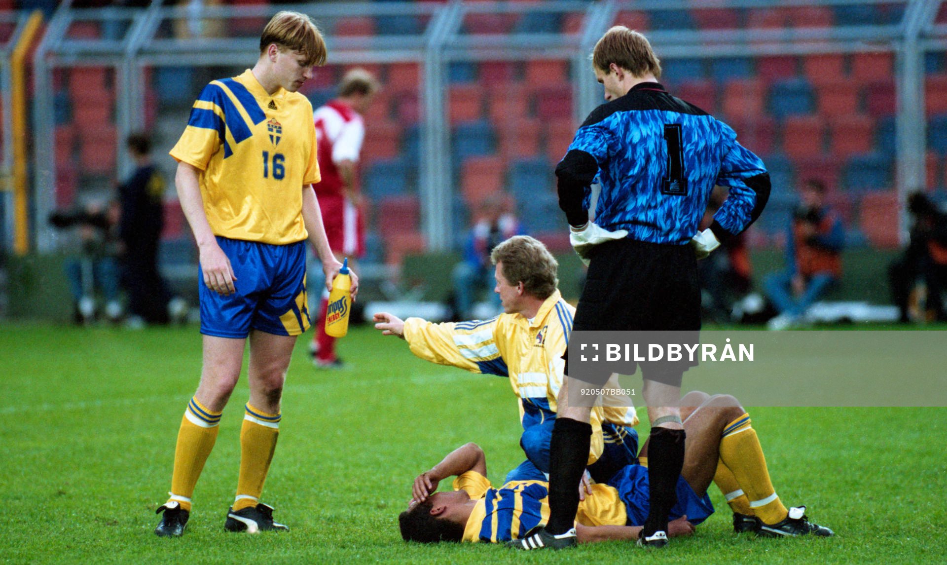 Martin Dahlin, Sverige