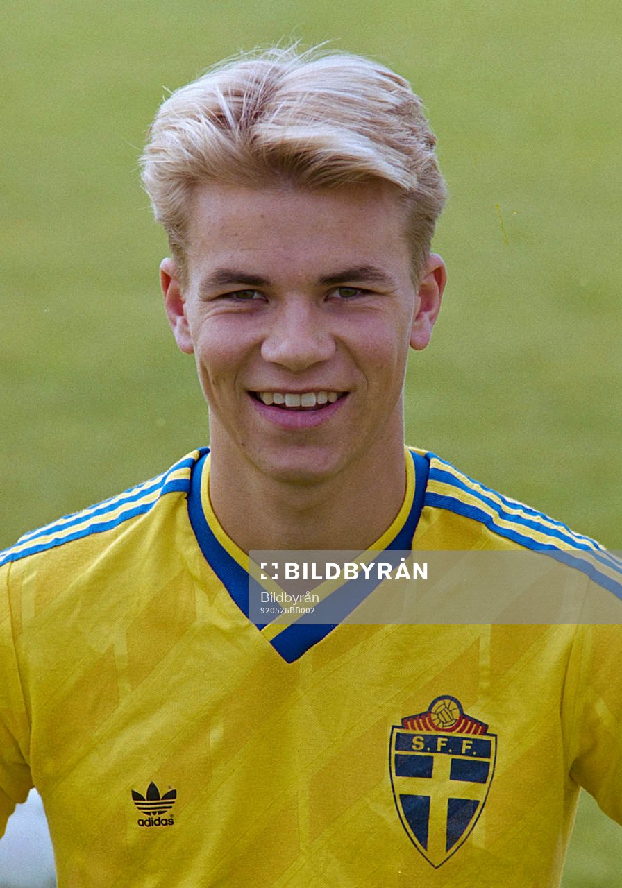 Niclas Alexandersson, Sverige