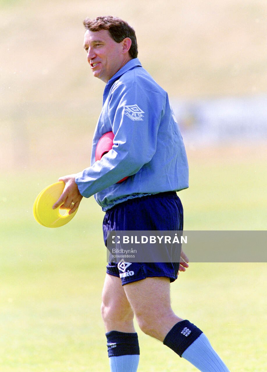 Football, Uefa EURO 1992 in Sweden, Group 1, England,