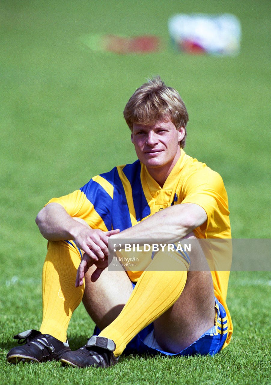Stefan Schwarz, Sverige