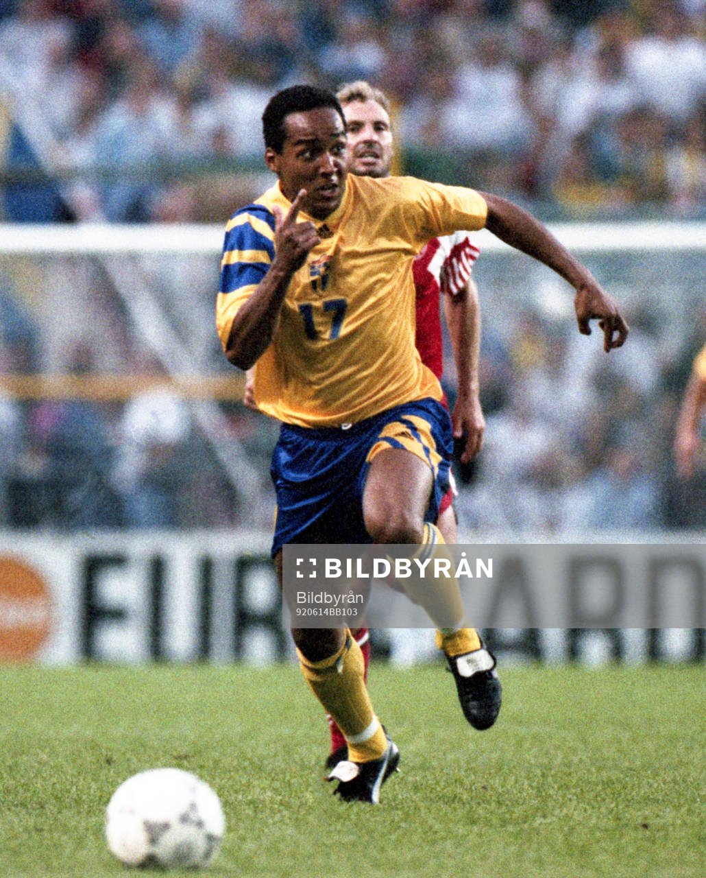Martin Dahlin, Sverige