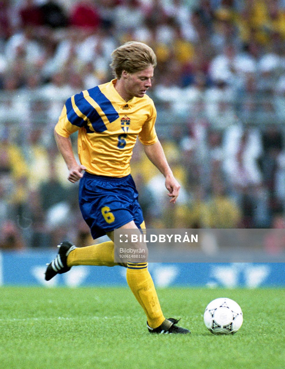 Stefan Schwarz, Sverige