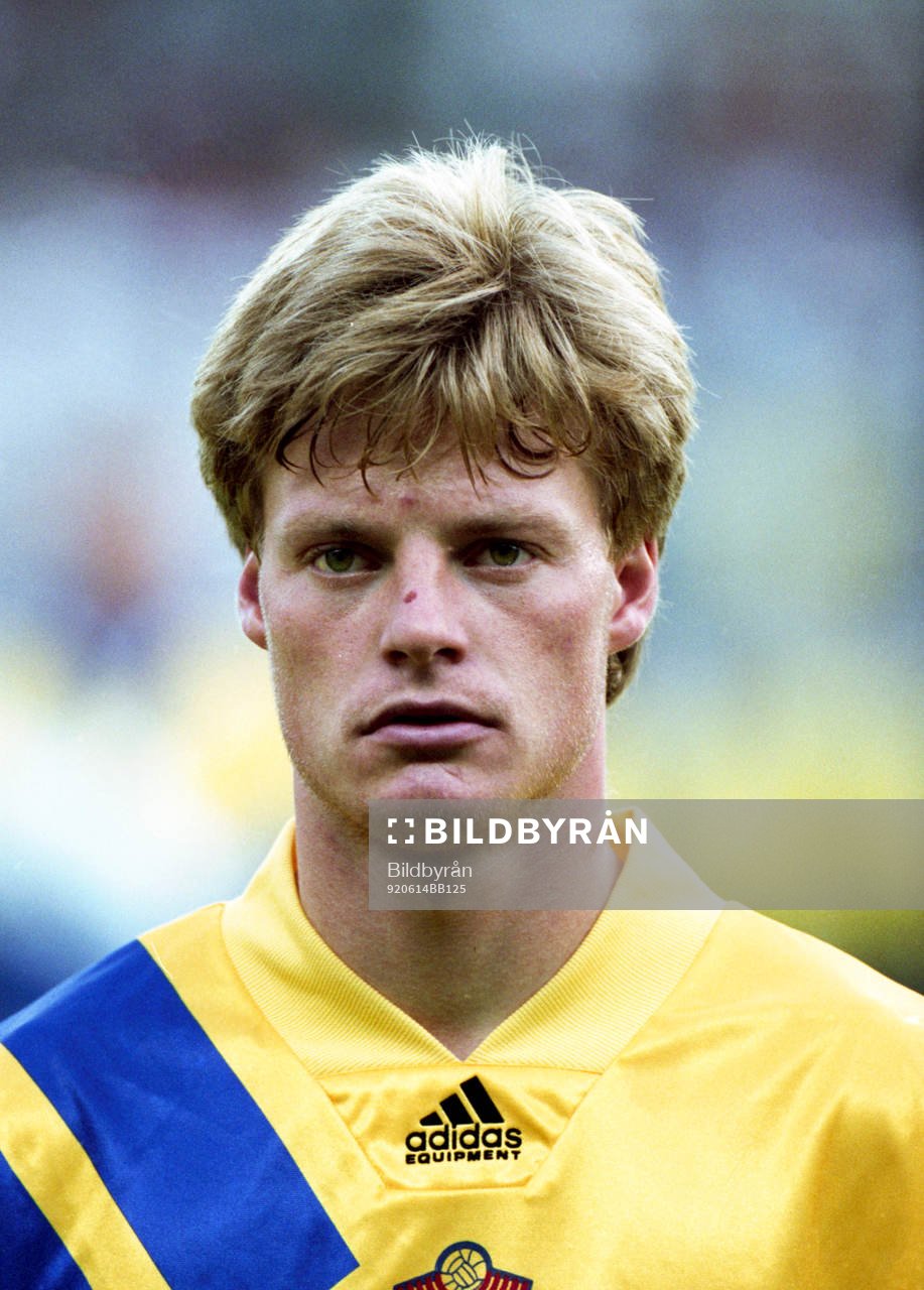 Stefan Schwarz, Sverige