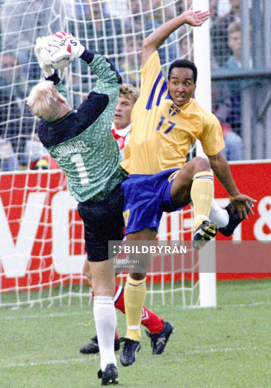 Swedens Martin Dahlin against Denmarks goalkeeper Peter