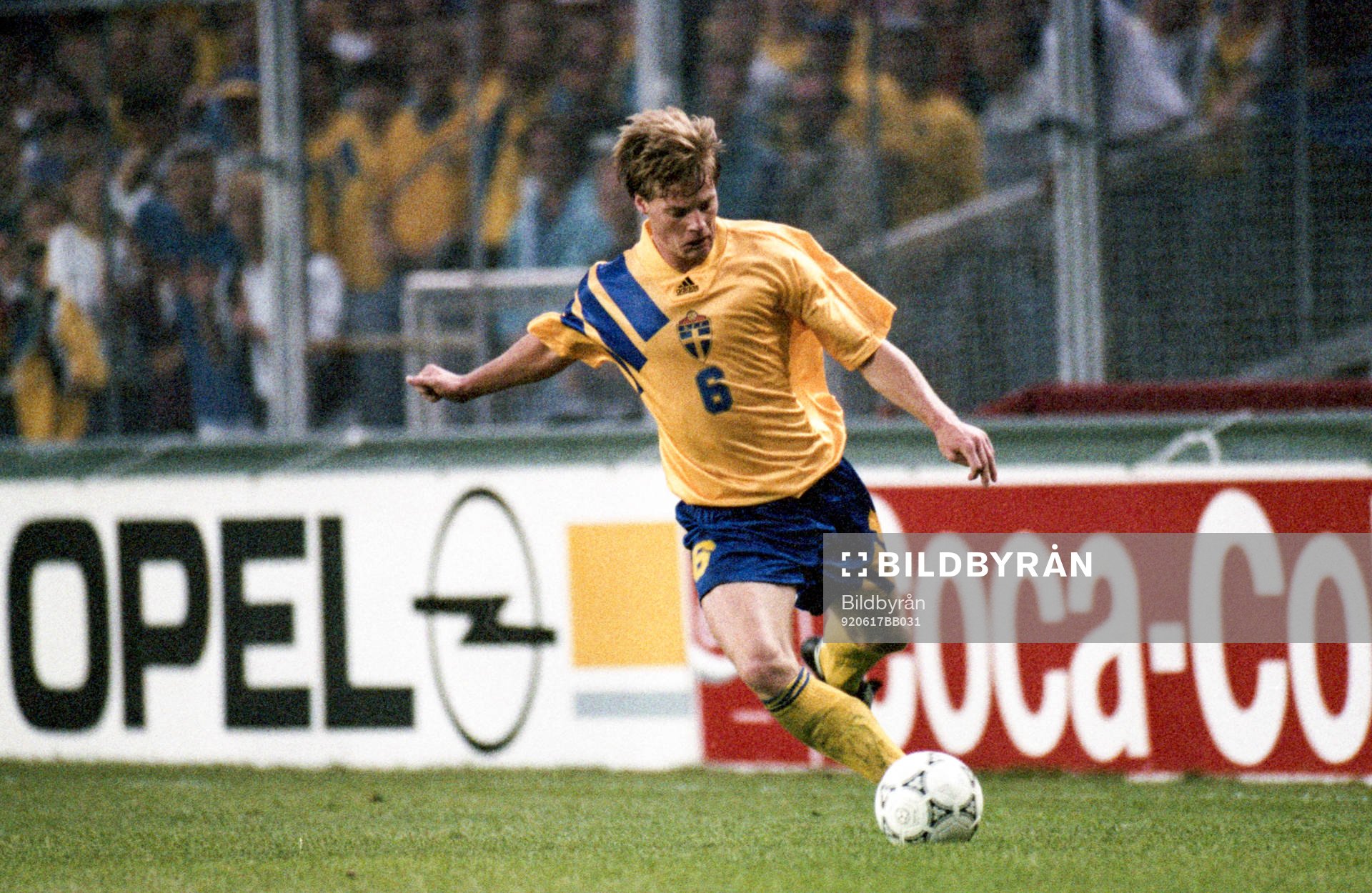 Stefan Schwarz, Sverige
