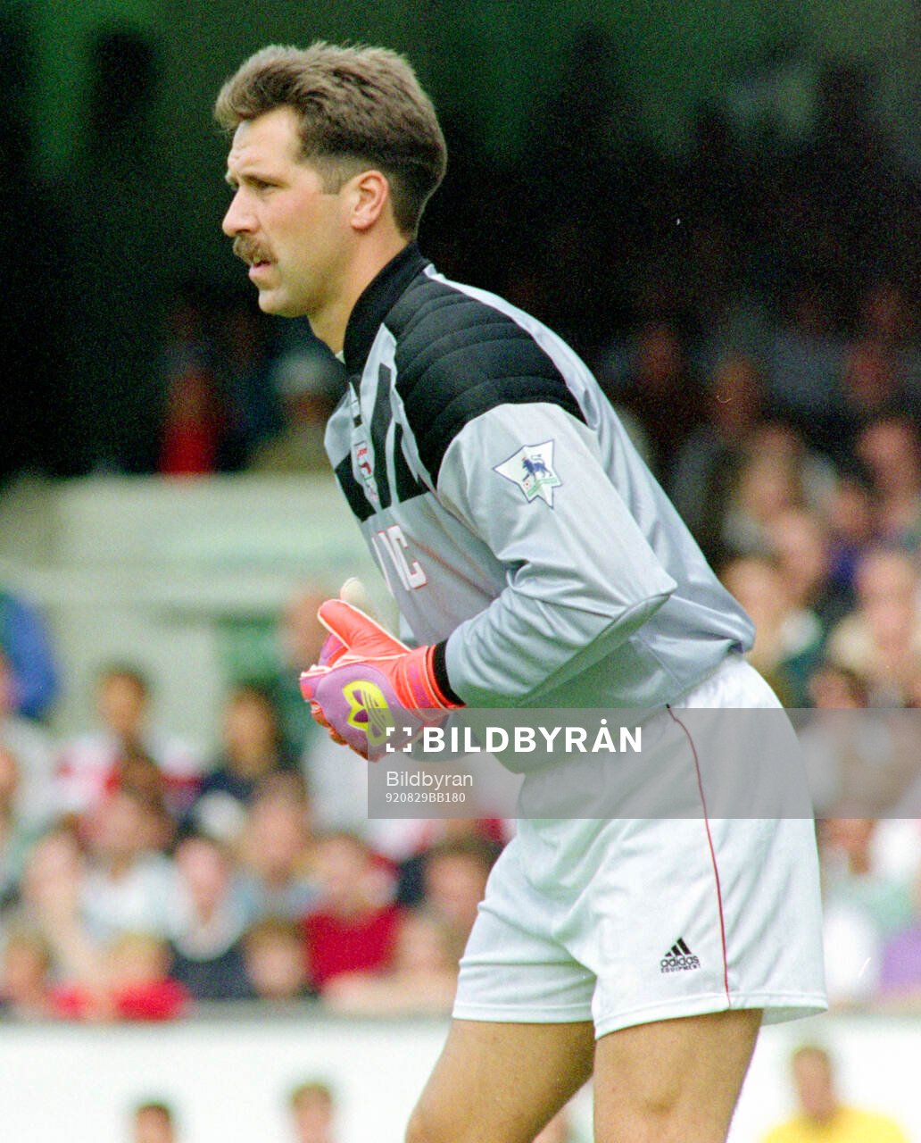 Football, English Premier League 1992-1993, Arsenal -