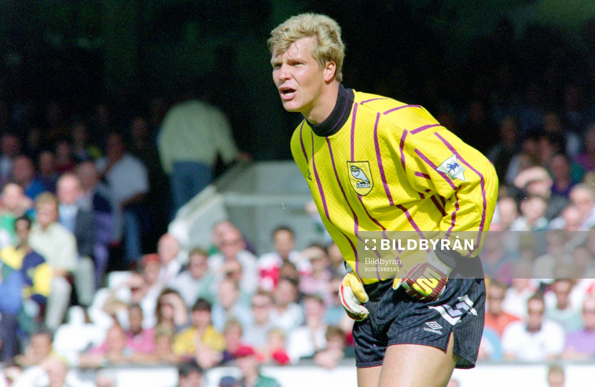 Football, English Premier League 1992-1993, Arsenal -