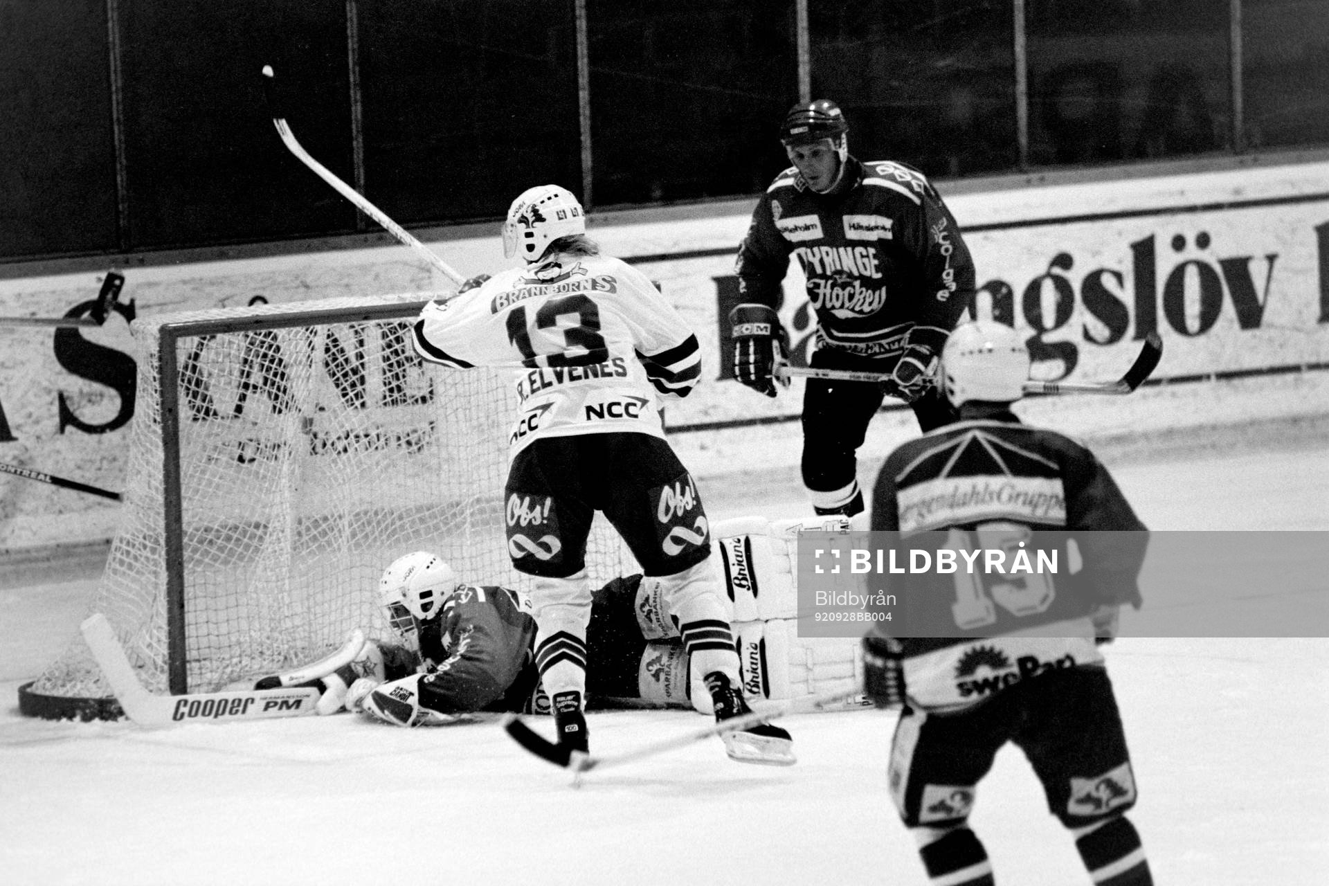 Roger Elvenes, Rögle fri med tyringes målvakt