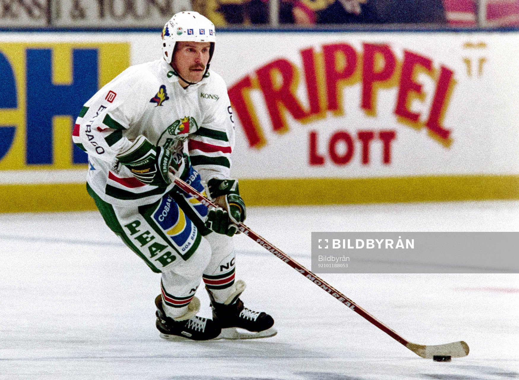 Kari Eloranta, Rögle